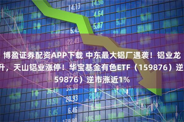 博盈证券配资APP下载 中东最大铝厂遇袭！铝业龙头领衔飙升，天山铝业涨停！华宝基金有色ETF（159876）逆市涨近1%
